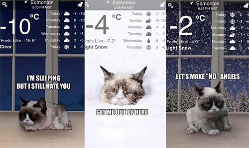 Forecast looks to be cloudy with a chance of kittens! The popular Weather Kitty app (featuring Grumpy Cat) was developed by Edmonton's own Shiv Takhar.