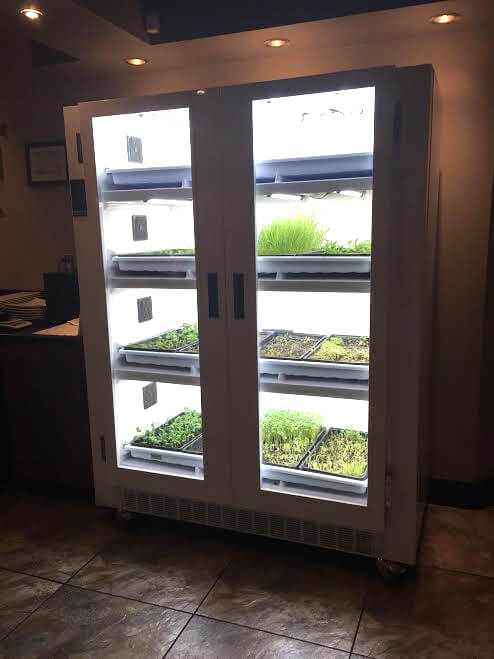 Sushi Sugoi uses an Urban Cultivator to grow its own fresh, organic microgreens!