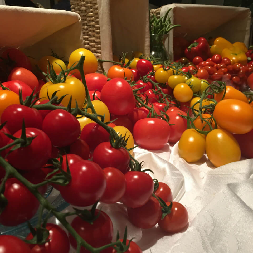 Tomatoes from Gull Valley Greenhouses