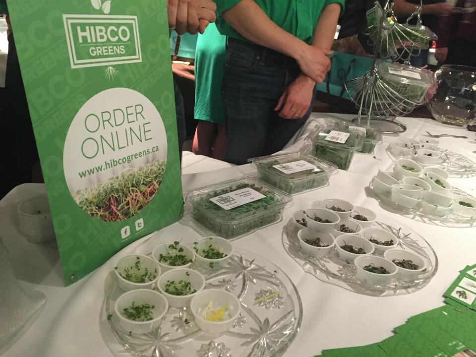 Hibco Greens provides year-round locally grown micro greens and microherbs.