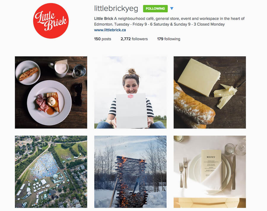 Edmonton Instagram Users - littlebrickyeg