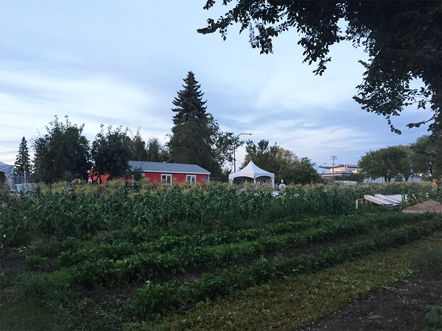 Edmonton Northlands Urban Farm – Farm Dinner – Alberta Farm Days
