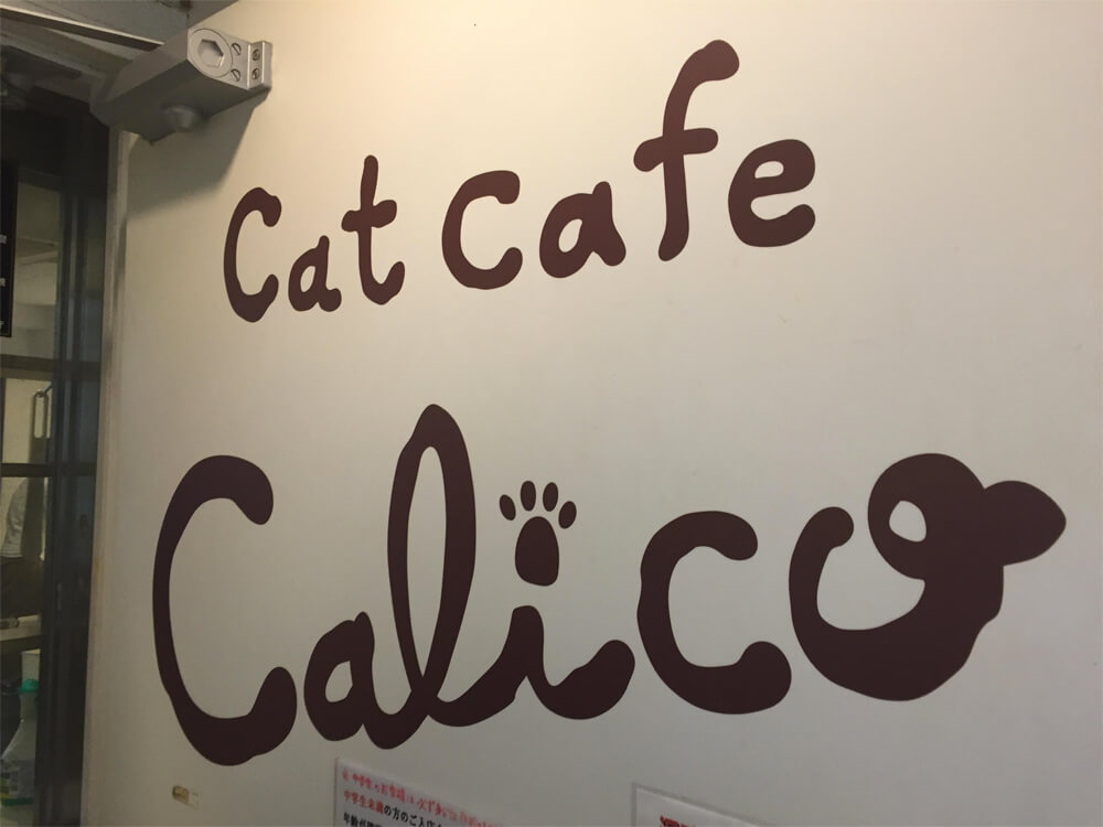 Cat Cafe Calico - Japan Cat Cafe Guide - Tokyo