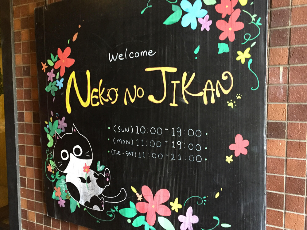 Neko No Jikan - Japan Cat Cafe Guide - Osaka 