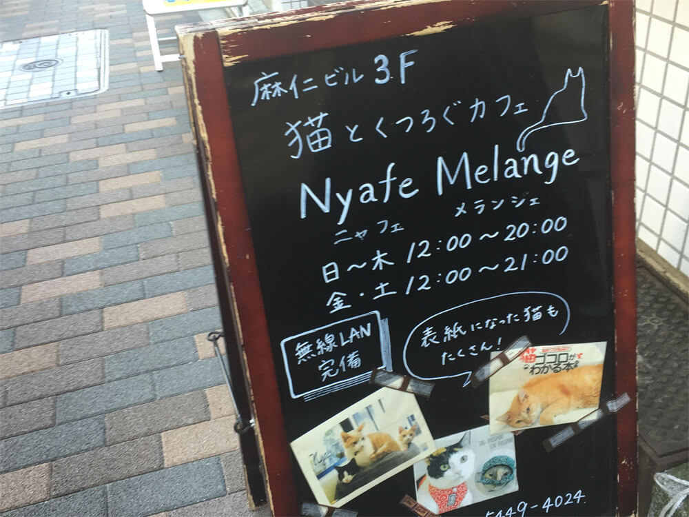 Nyafe Melange - Japan Cat Cafe Guide - Tokyo 
