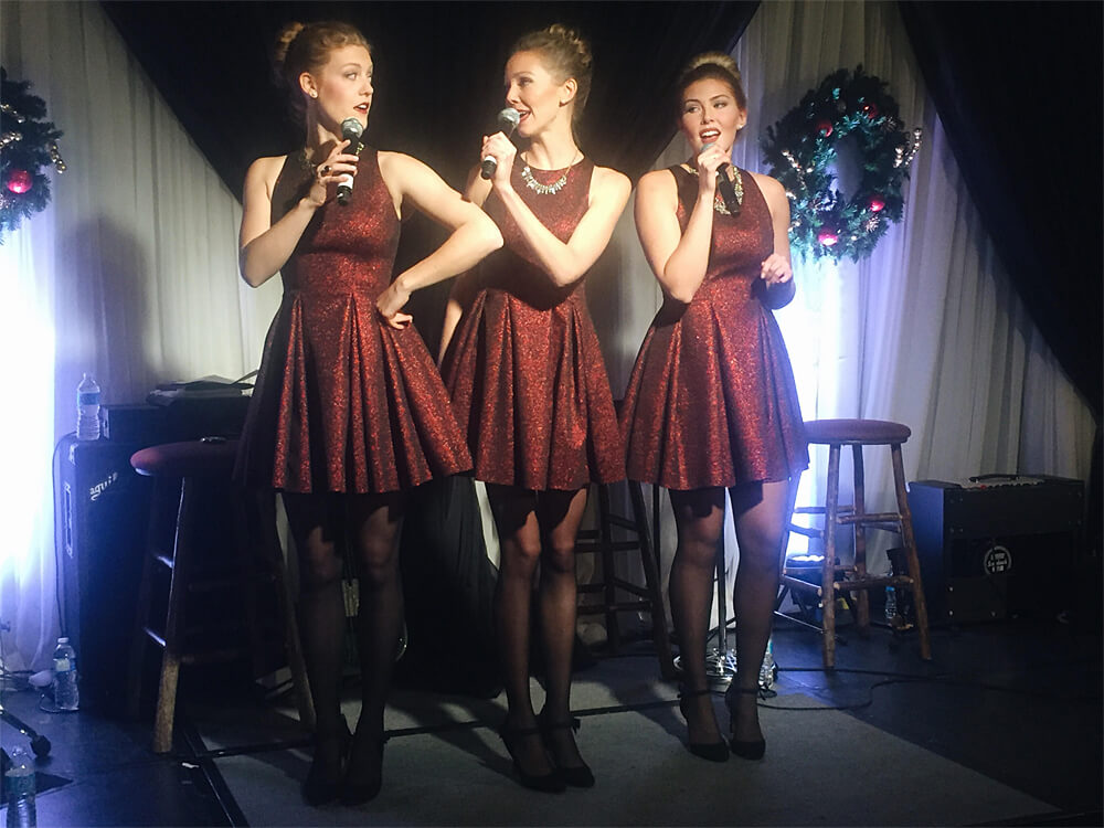 The Willows Trio Christmas in November