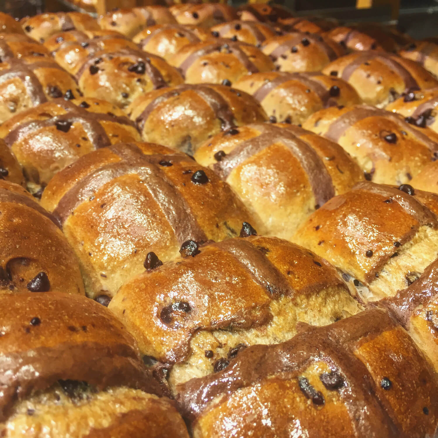 Cobs Bread Bakery - Edmonton - Hot Cross Buns
