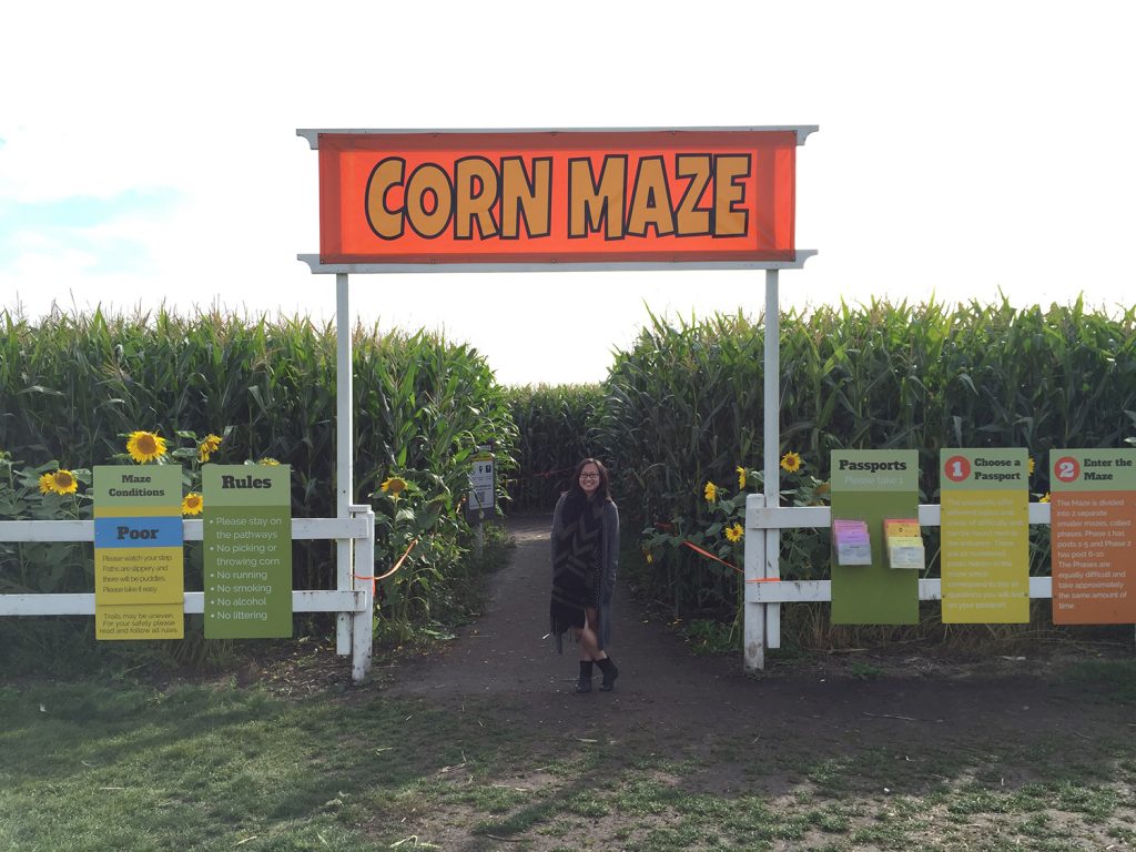 Edmonton Corn Maze 