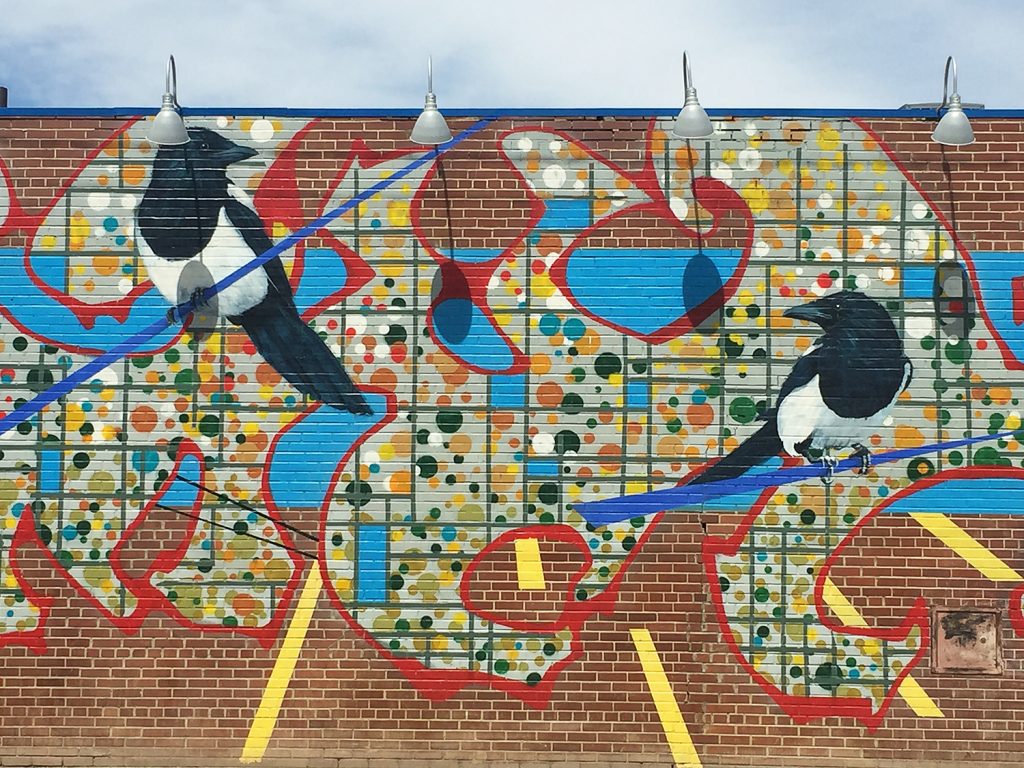Instagrammable Walls of Edmonton - Downtown - Bird Mural