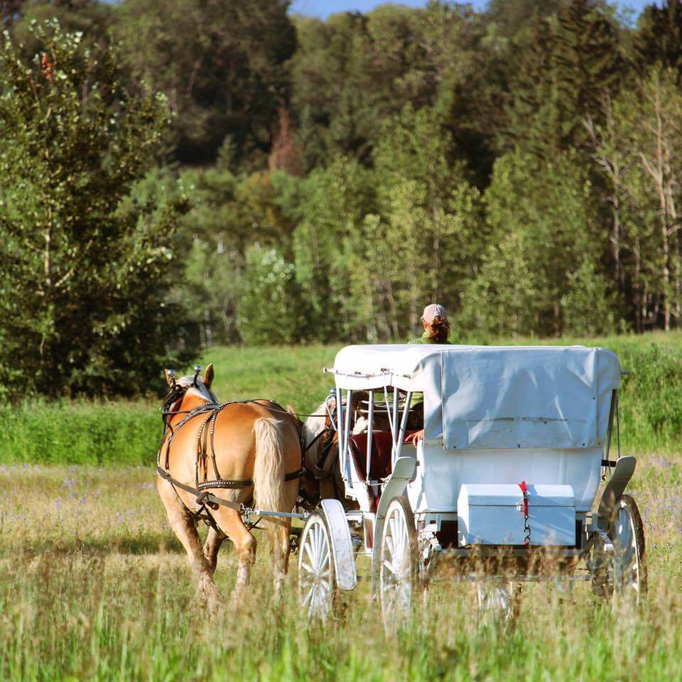 Heritage Ranch Horse Carriage Ride