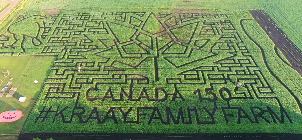 Kraay Family Farm Canada 150 Lacombe