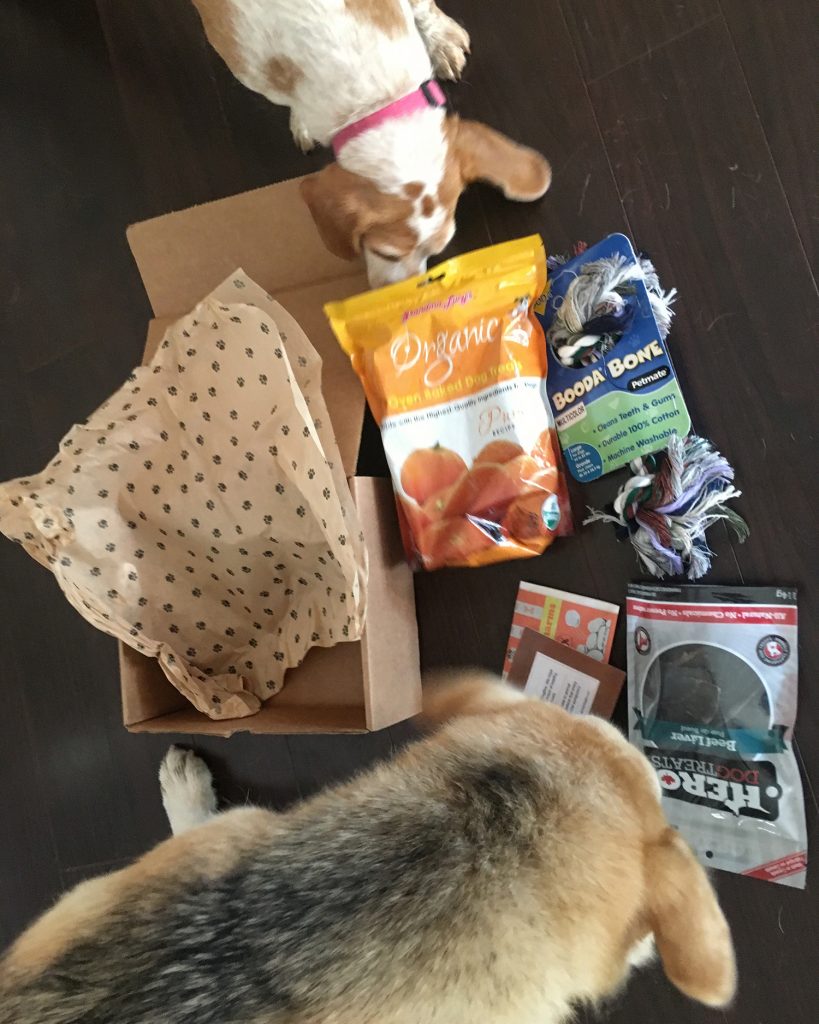 Urban Dog Box - Edmonton - Canada - Monthly Subscription Service