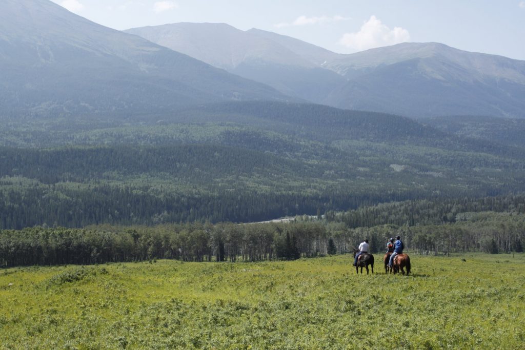 U Bar Ranch Grande Cache Horseback Riding Travel Explore Alberta