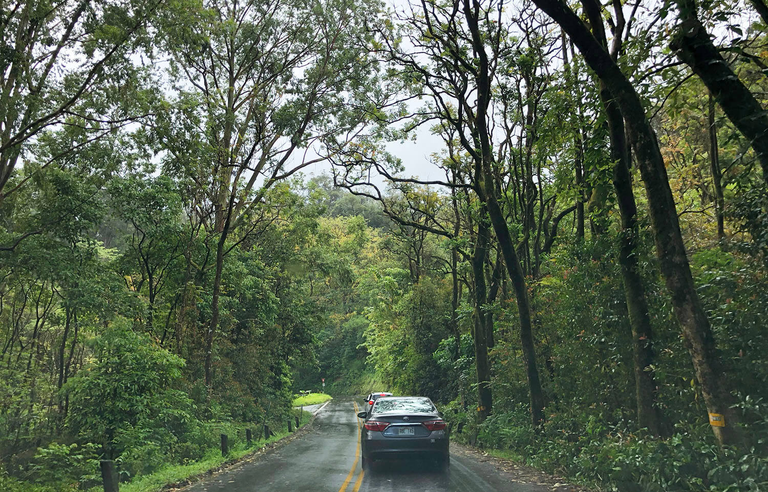 Tips for Taking The Road To Hana Maui Hawaii Travel Guide 