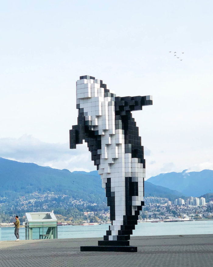 Instagrammable Vancouver - Picture Perfect Spots in Vancouver British Columbia - Murals - Scenic - Hello BC - Travel Guide - Digital Orca Coal Harbour Waterfront