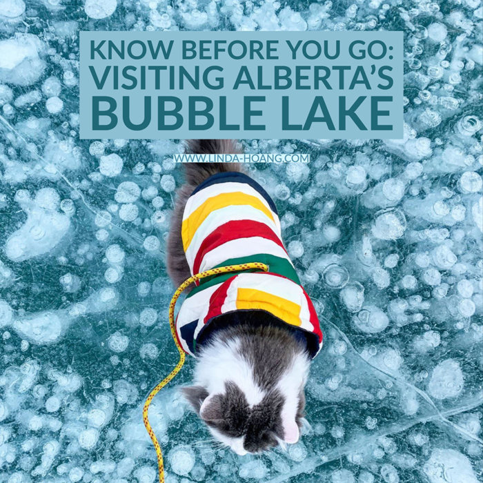 Know Before You Go - Exploring Alberta's Bubble Lake -Abraham Lake - Travel Alberta