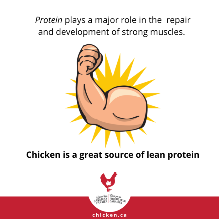 Chicken Facts - Alberta Chicken - Lean Source of Protein