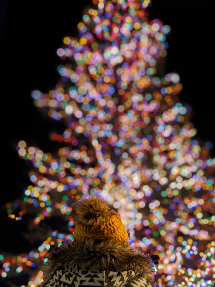 Free Festive Outdoor Light Experiences - Christmas Lights - Edmonton Area - Downtown Churchill Square