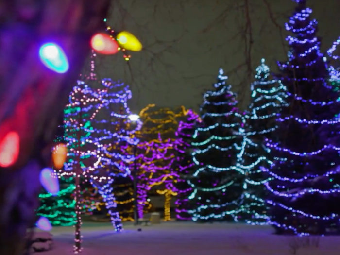 Free Festive Outdoor Light Experiences - Christmas Lights - Edmonton Area - Spruce Grove Parkland County Central Park