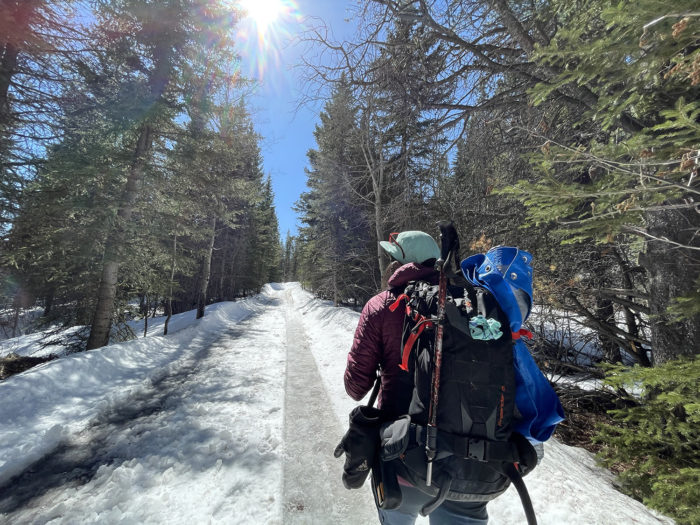 Explore Canmore Kananaskis - Travel Alberta - Pomeroy Kananaskis Lodge Kananaskis Outfitters Guided Survival Hike 9