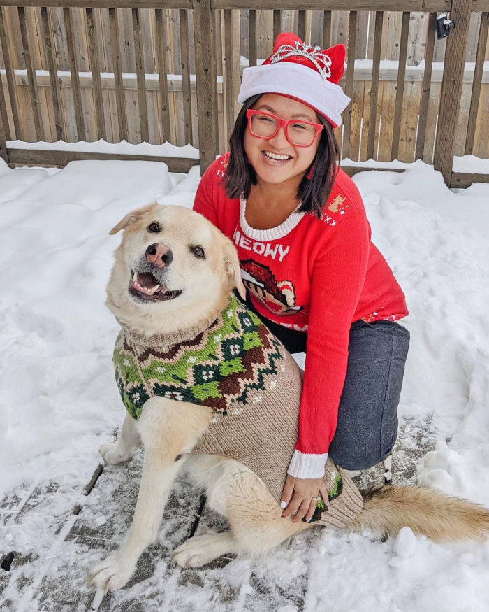 Homes Alive Pets - Holiday Sweaters for Dogs - A Very Lindork Christmas Giveaway