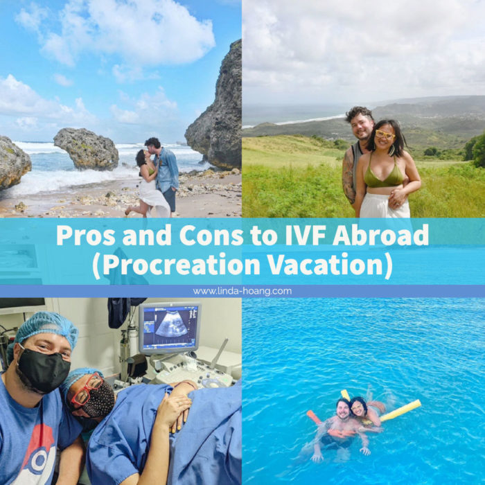 Pros and Cons Procreation Vacation IVF Abroad Barbados Fertility Centre